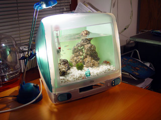 imacquarium